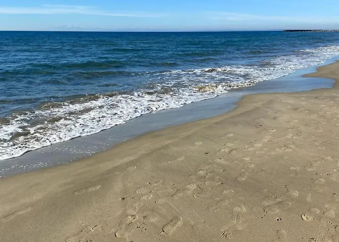 Capfamille アグド